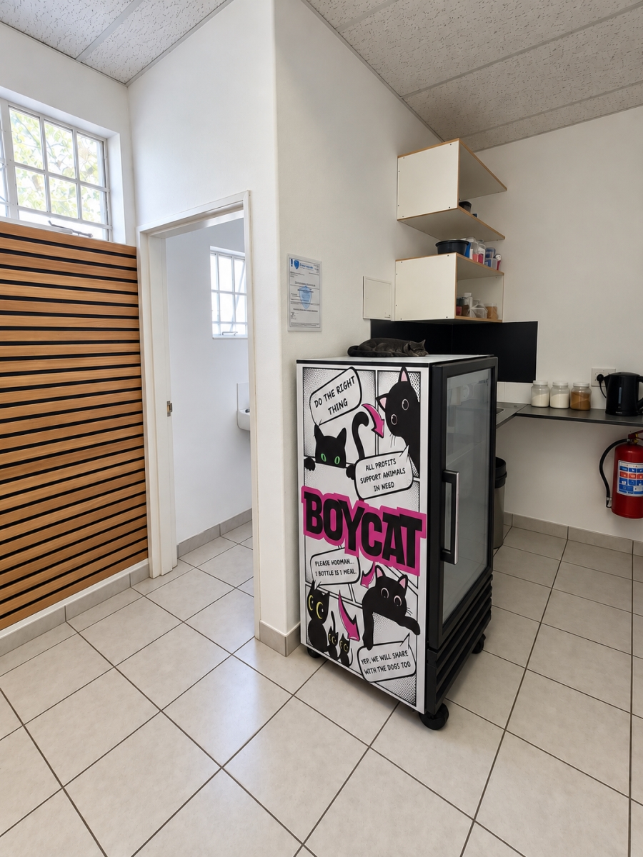 To Let Commercial Property for Rent in Vincent Eastern Cape